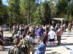 fest 2011